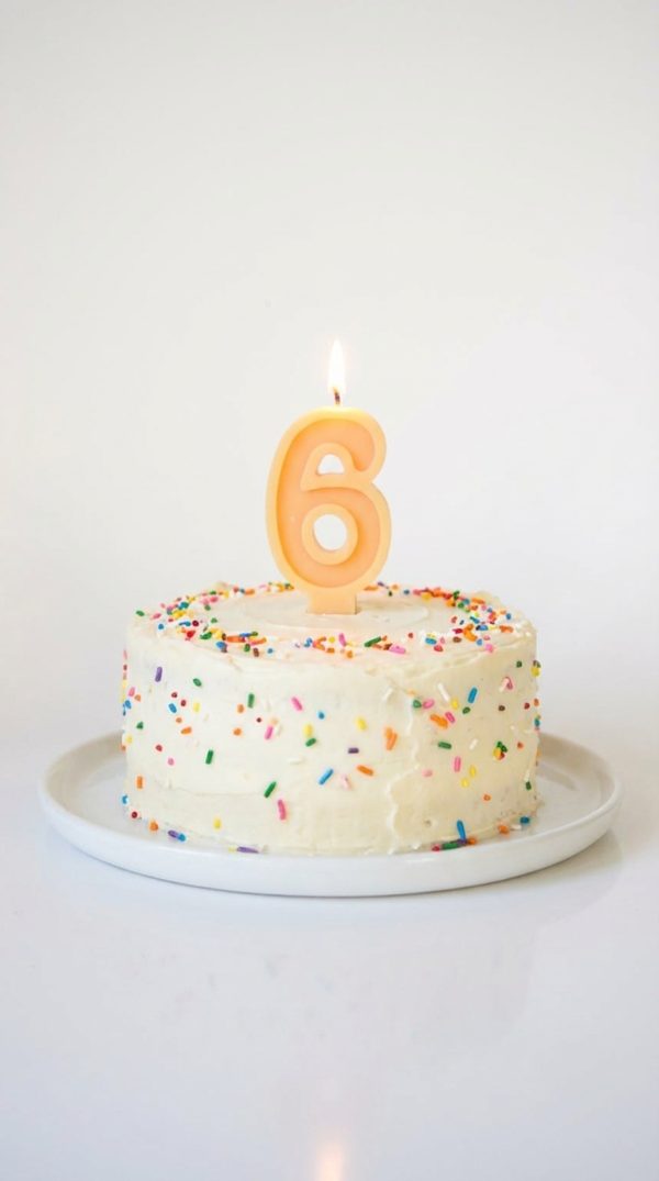 ciparu-sveces-tortei-dzimsanas-diena-cipars-6 (7) oku darba dabīgā vaska cipara "6" svece dzimšanas dienas tortei.